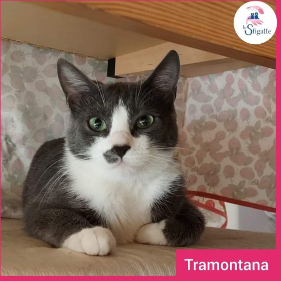 Immagine 2024-01-22 141900