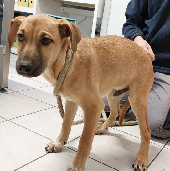 Immagine 2024-01-22 153813