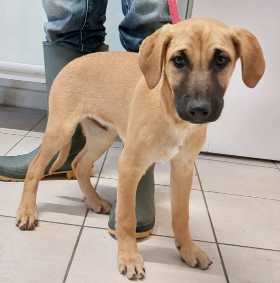 Immagine 2024-01-22 154143