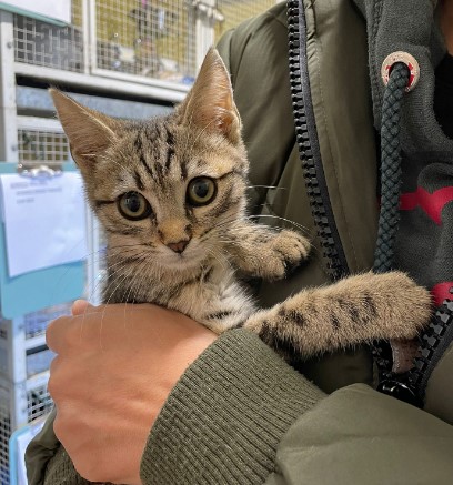 Immagine 2024-01-22 160942