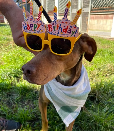 Immagine 2024-01-22 165808