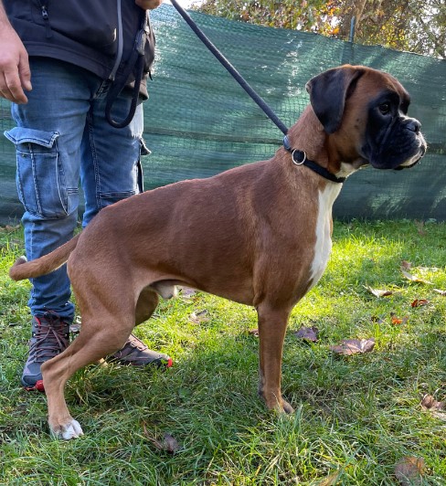 Immagine 2024-01-22 170647