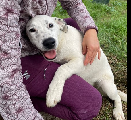 Immagine 2024-01-22 171153