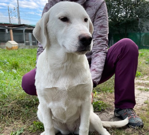 Immagine 2024-01-22 171220