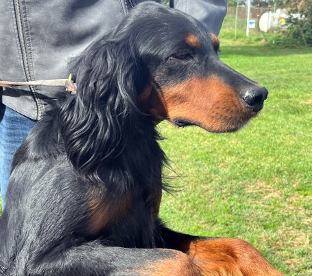 Immagine 2024-01-31 153218