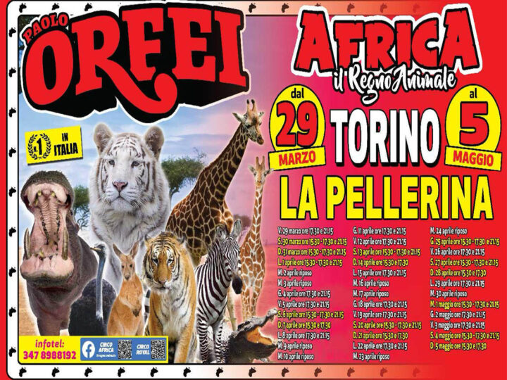 Paolo Orfei, il circo alla Pellerina dal 29 marzo al 5 maggio