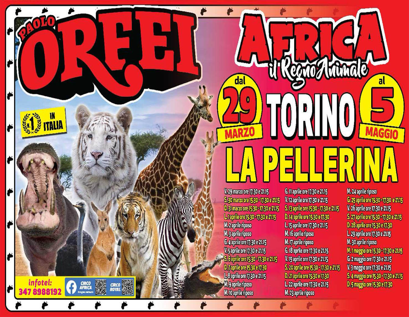 Paolo Orfei, il circo alla Pellerina dal 29 marzo al 5 maggio