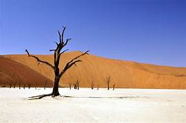 Il deserto del Namib e le sue meraviglie