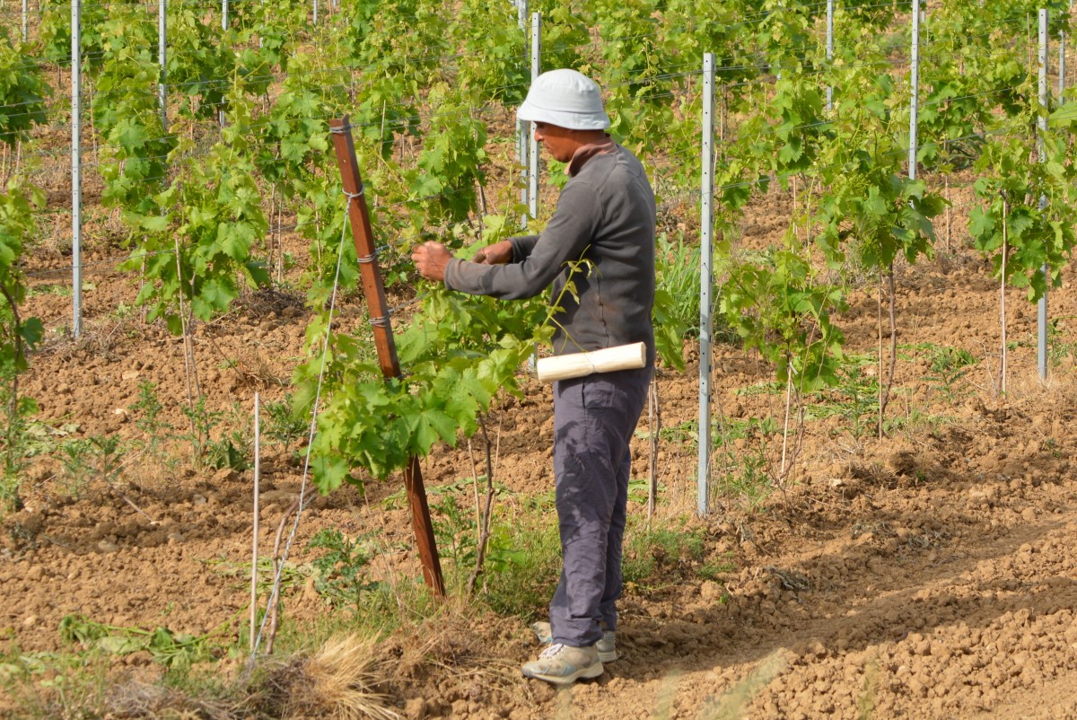 Lavoro stagionale, come funziona