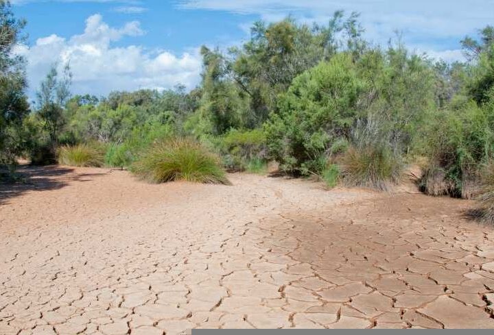 Siccità, perchè dobbiamo preoccuparci dei cambiamenti climatici?