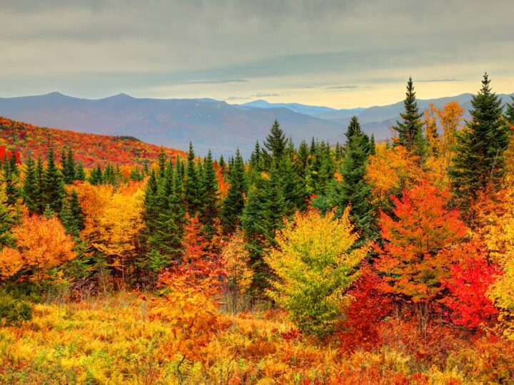 Il Treno del Foliage