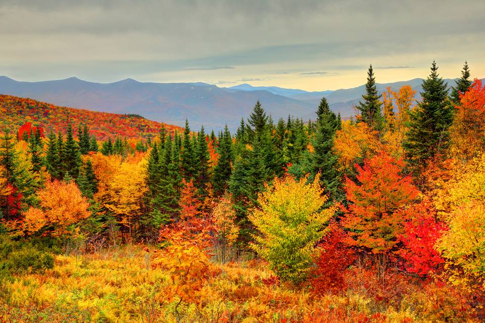 Il Treno del Foliage