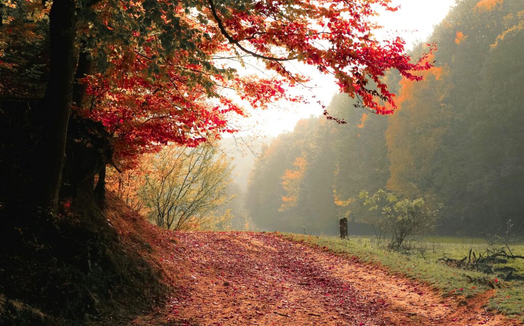 L’autunno e i suoi benefici sulla salute