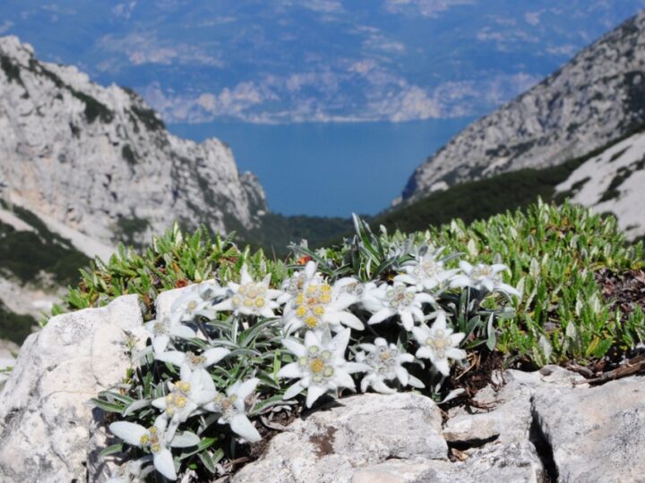 La Valle del Freddo e il suo mistero