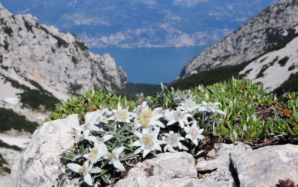 La Valle del Freddo e il suo mistero