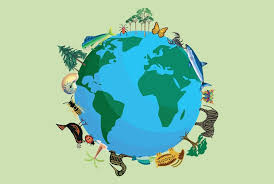 Biodiversità: perchè proteggerla e preservarla