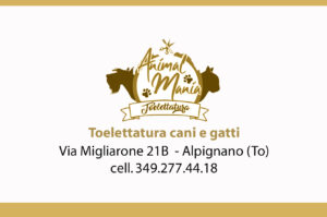 Animal Mania, Toelettatura: cura, professionalità e benessere per gli animali
