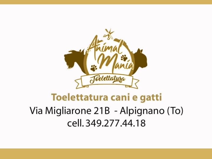 Animal Mania, Toelettatura: cura, professionalità e benessere per gli animali