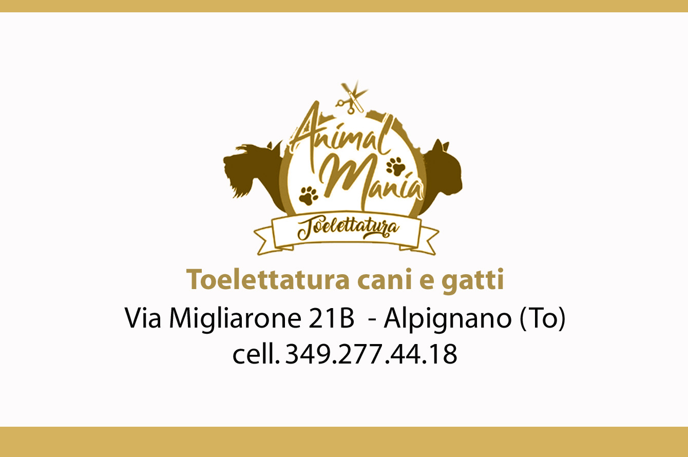 Animal Mania, Toelettatura: cura, professionalità e benessere per gli animali