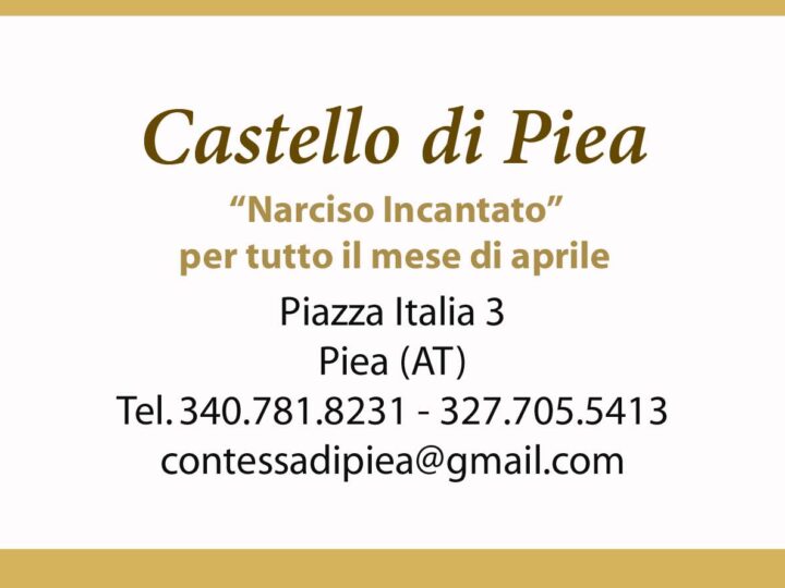 Narciso incantato al Castello di Piea: un viaggio tra storia, fiori e meraviglia