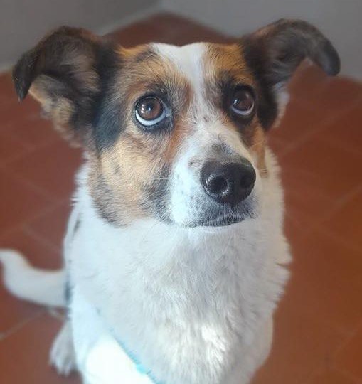 Immagine-2026-04-18-163516