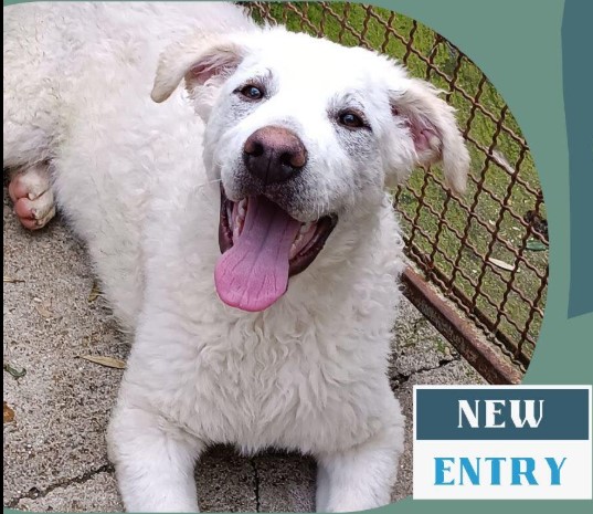 2-4