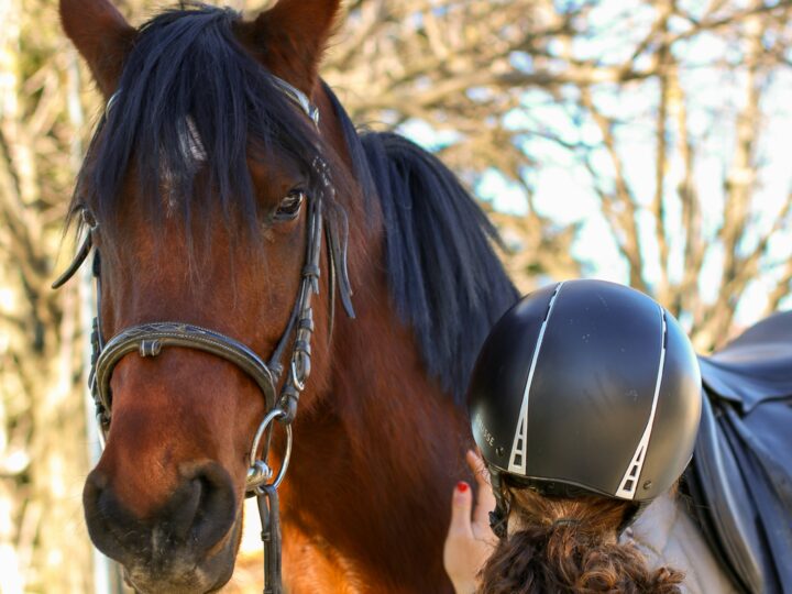 Quanto costa davvero iniziare ad andare a cavallo