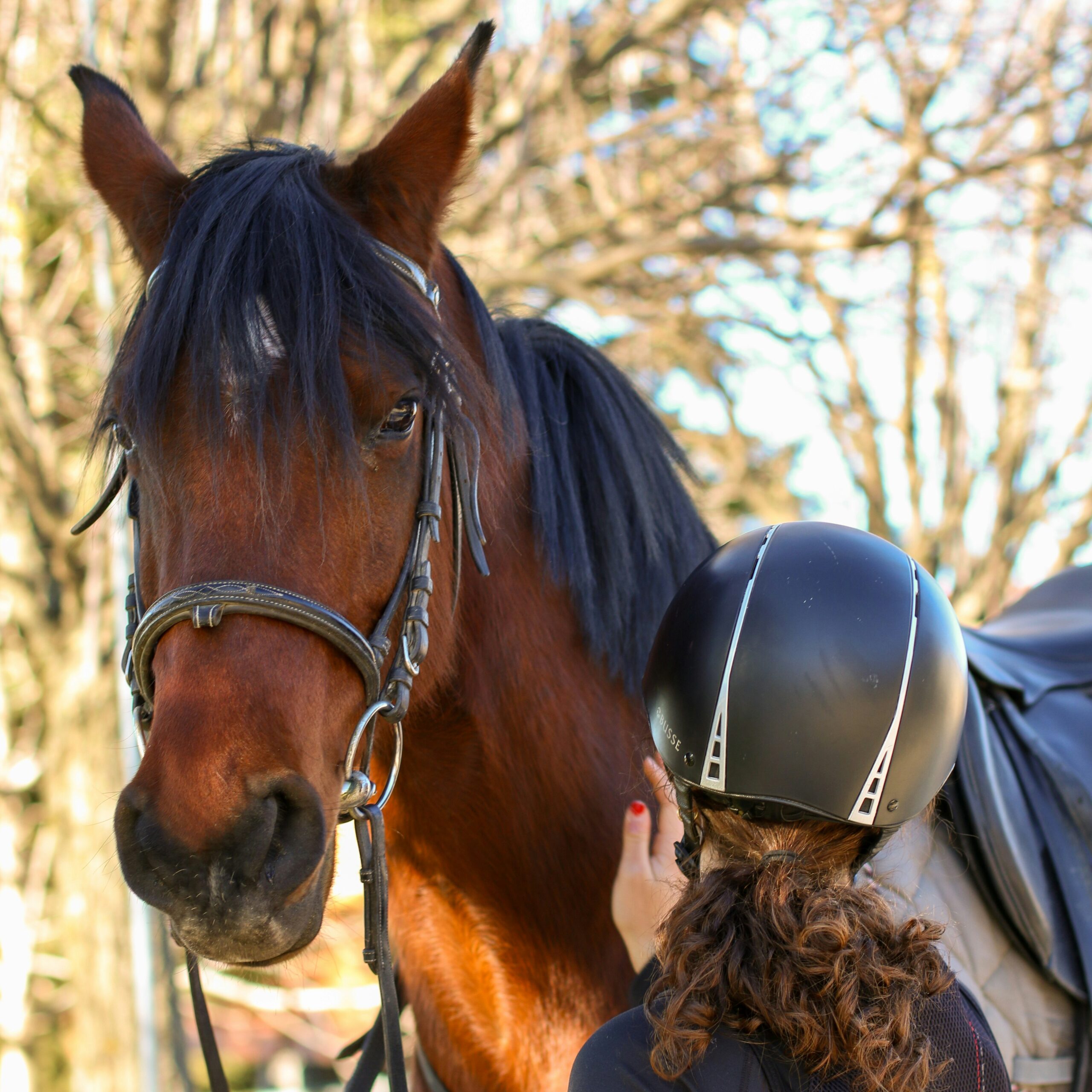Quanto costa davvero iniziare ad andare a cavallo